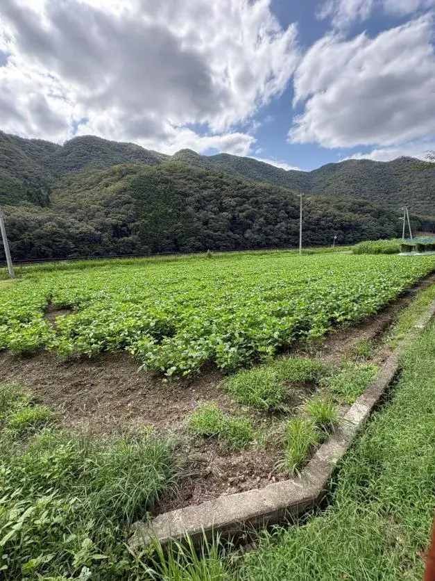 11DK Property Kamigori-cho, Ako-gun Hyogo Prefecture (29)