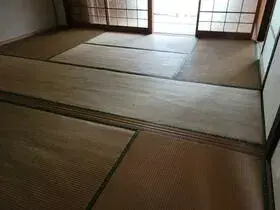 Slide 6
